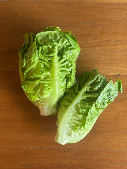 ผักคอสสลัด (Cos salad 250 g.)